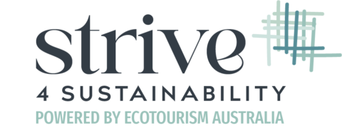 Strive 4 Sustainability Scorecard