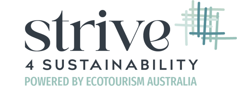 Strive 4 Sustainability Scorecard