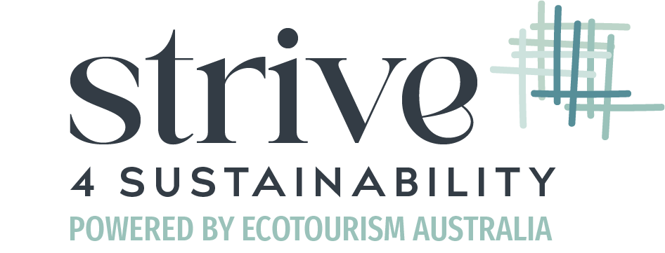 Strive 4 Sustainability Scorecard