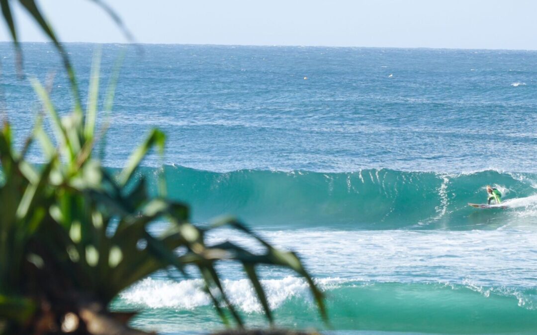 Gold Coast to host 2026 Global Sustainable Tourism Summit