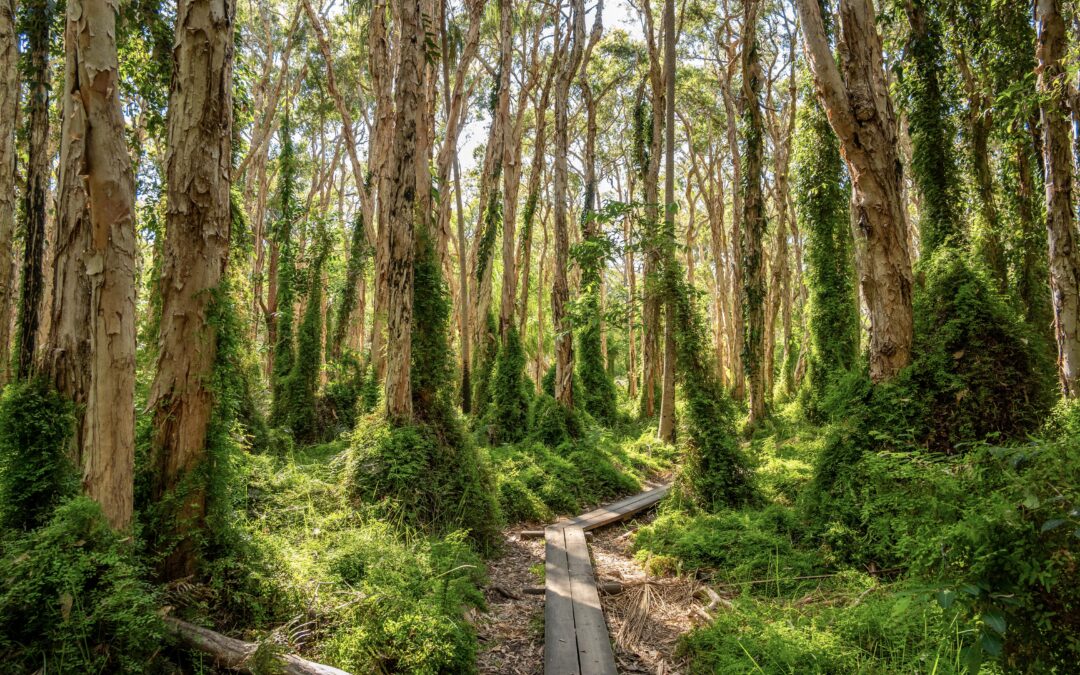 Early Program Unveiled for Global Sustainable Tourism Summit 2026