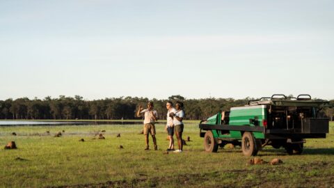 Kakadu Safari Bamurru Plains, NT, Tourism NT