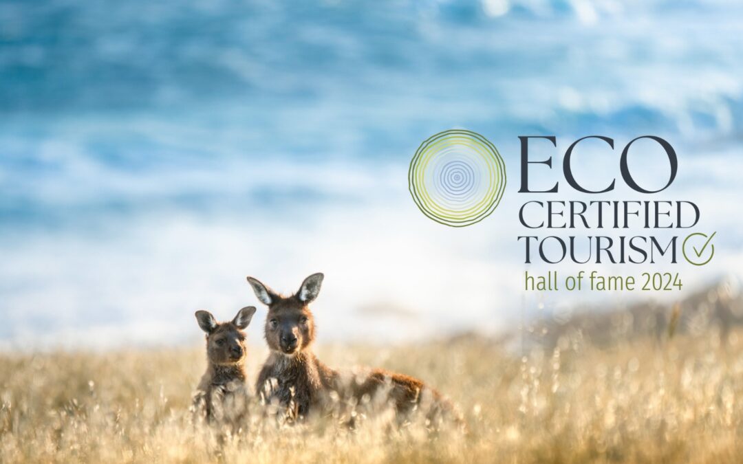 2024 Hall of Fame & Green Travel Leaders Announced