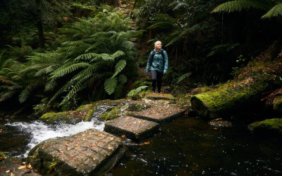 Barrington Coast Achieves Sustainability Milestone with ECO Destination Certification