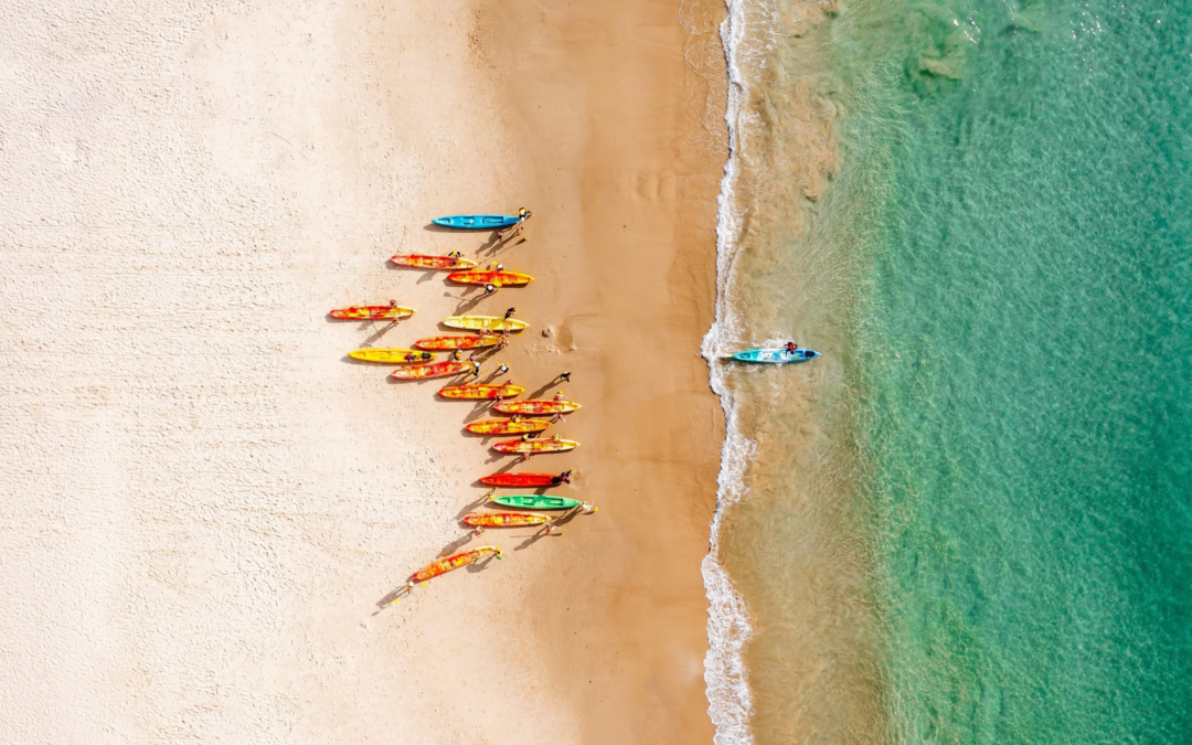 Meet 10 NSW businesses that have completed the Strive 4 Sustainability Scorecard through Destination NSW