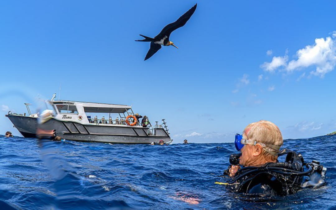 Extra Divers Australia