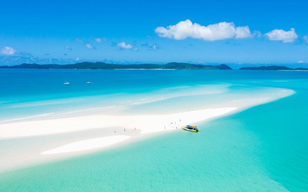 Celebrating World Ocean’s Day with Ecotourism Australia’s Certified Operators
