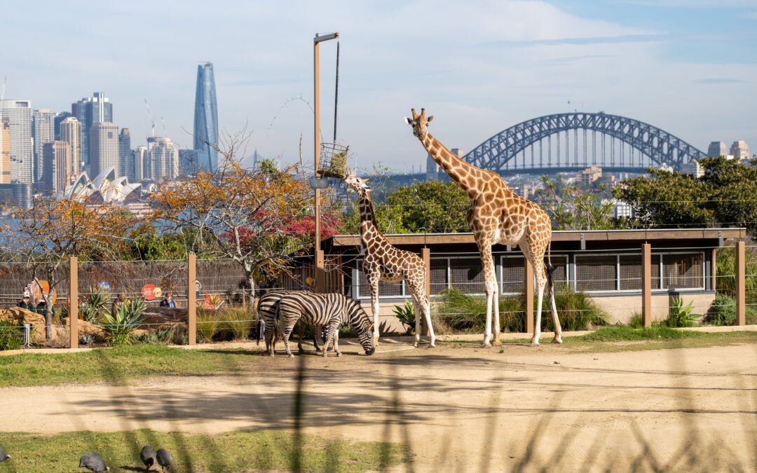 Taronga Conservation Society