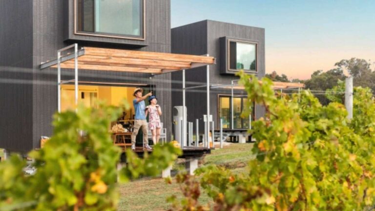 A couple standing on the terrace of a modern house slightly hidden by trees.