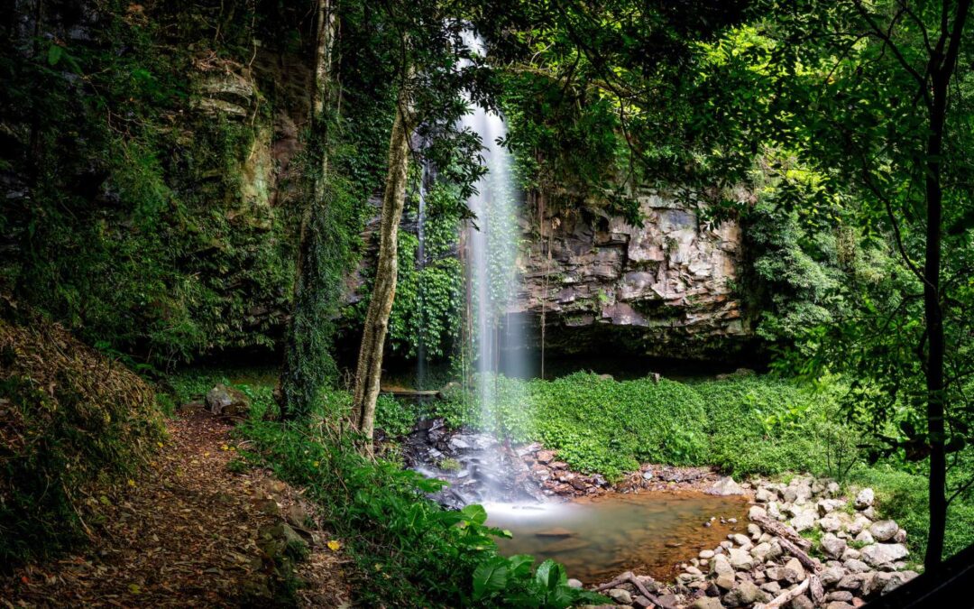 Bellingen Shire achieves prestigious ECO Destination Certification