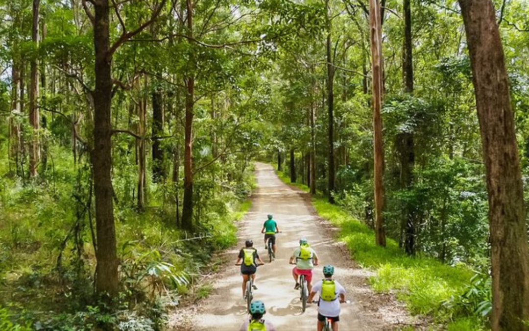 Celebrating World Sustainable Transport Day with Ecotourism Australia’s Certified Operators