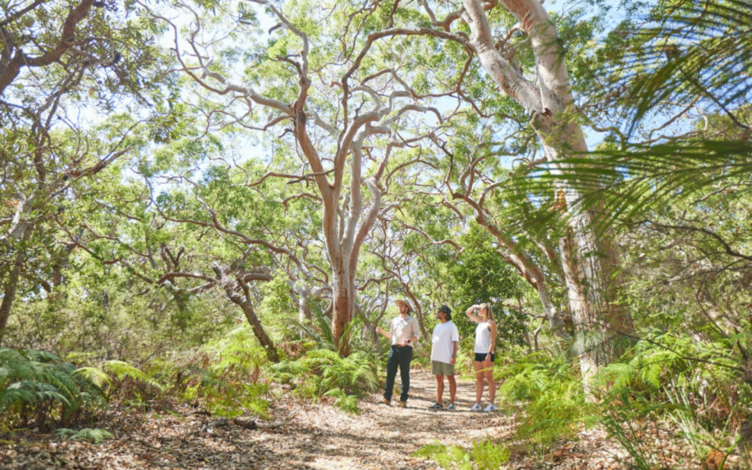 NSW Central Coast wins global green award in Berlin for growing a sustainable tourism industry