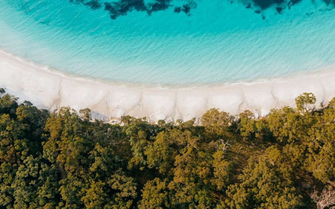 Ecotourism Australia and Destination NSW partnership to boost sustainable tourism