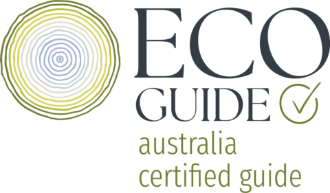 ECO Guide Logo
