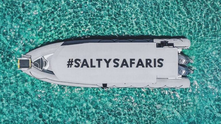 View from above on a boat with #saltysafaris written on laying in clear water.