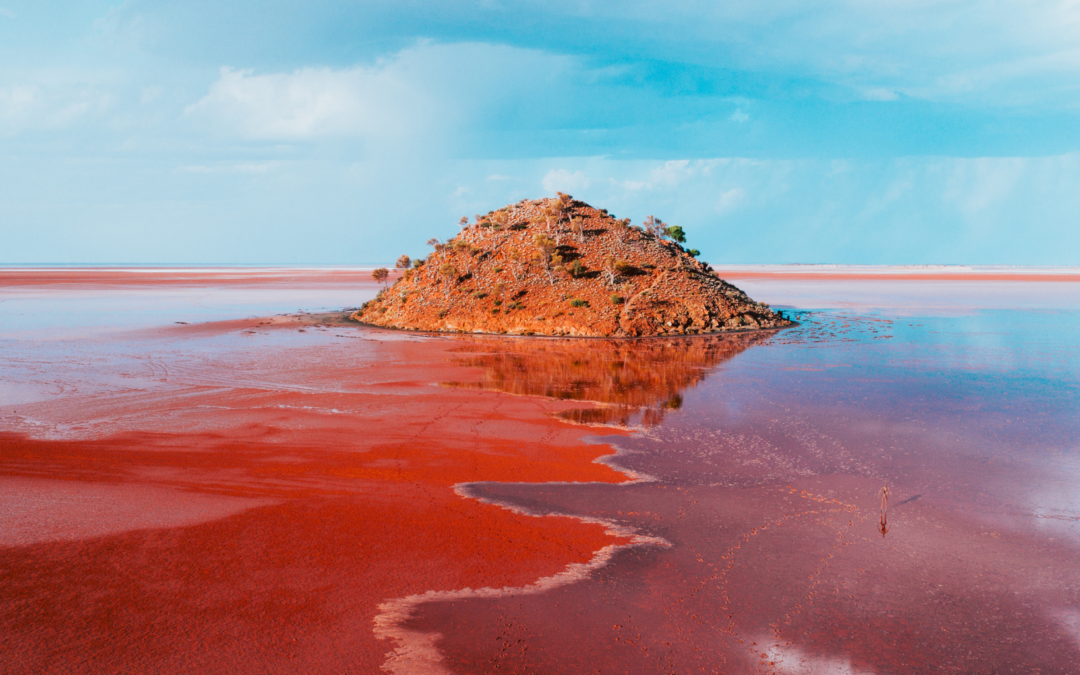 Ecotourism Australia Response to State of the Environment Report