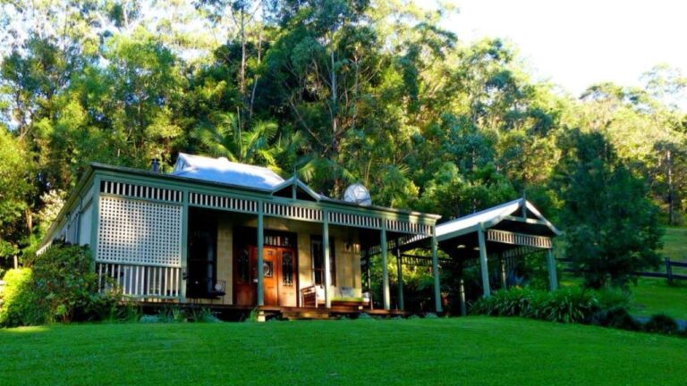 View on a cottage with a veranda on a green hill and trees behind it.