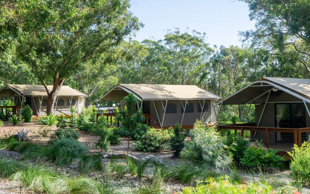 Port Stephens Koala Sanctuary