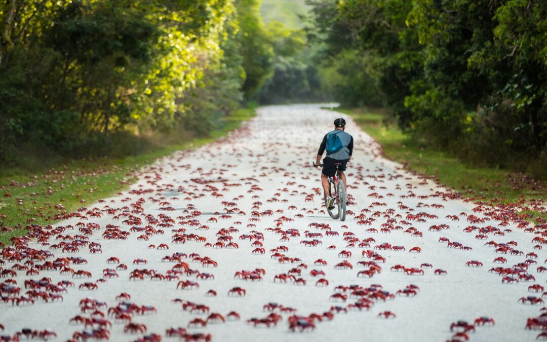 Partnership to Develop Sustainable Tourism in the Indian Ocean Territories