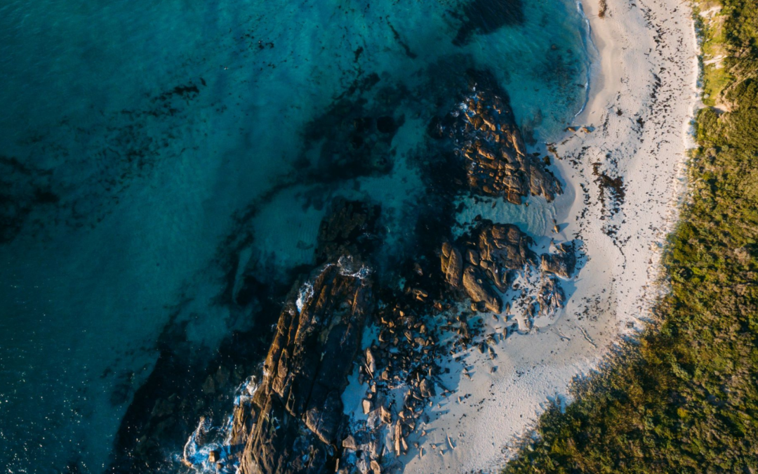 Robert Taylor Appointed to Ecotourism Australia Board of Directors