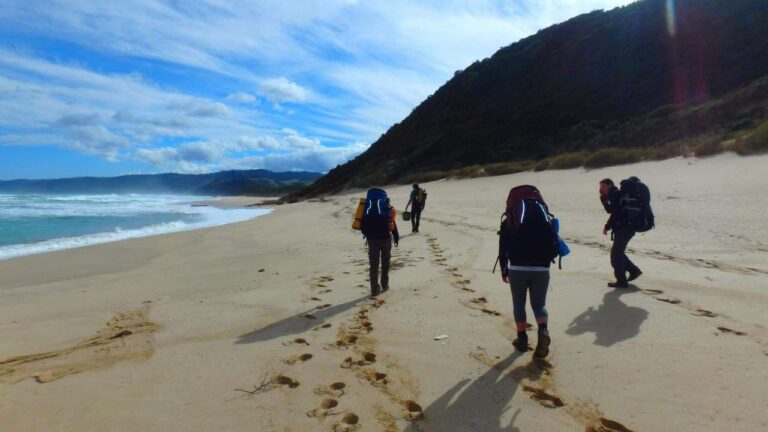 A group of four people hiking on a deserted beach with mountains in the background.