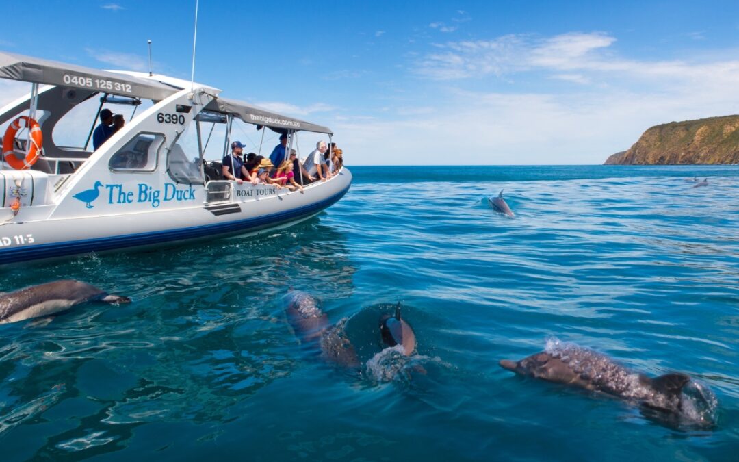 Ecotourism Australia Certified Operators Set to Shine at the 2024 Qantas Australian Tourism Awards