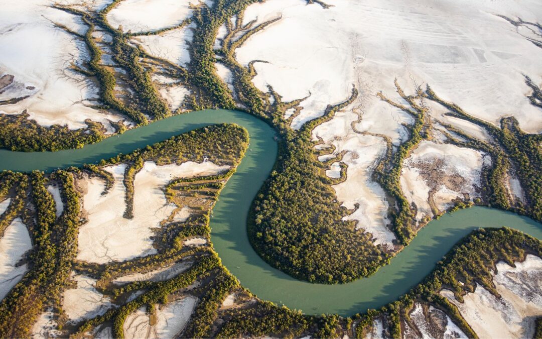 Ecotourism Australia celebrates 30 years with new vision