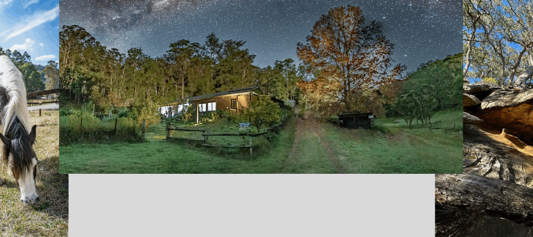 Willow’s Retreat