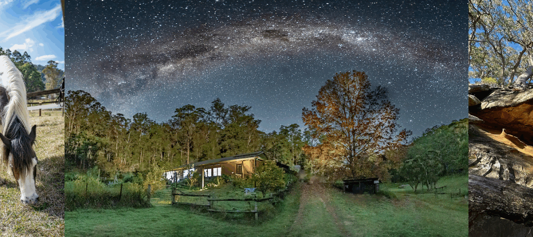 Willow’s Retreat